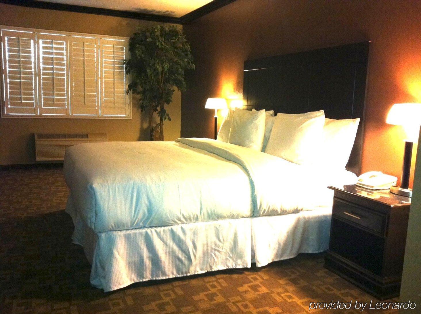Blvd Hotel & Suites - Walking Distance To Hollywood Walk Of Fame (Adults Only) Los Angeles Room photo